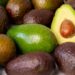 Demanda internacional de aguacate fomenta deforestación en México