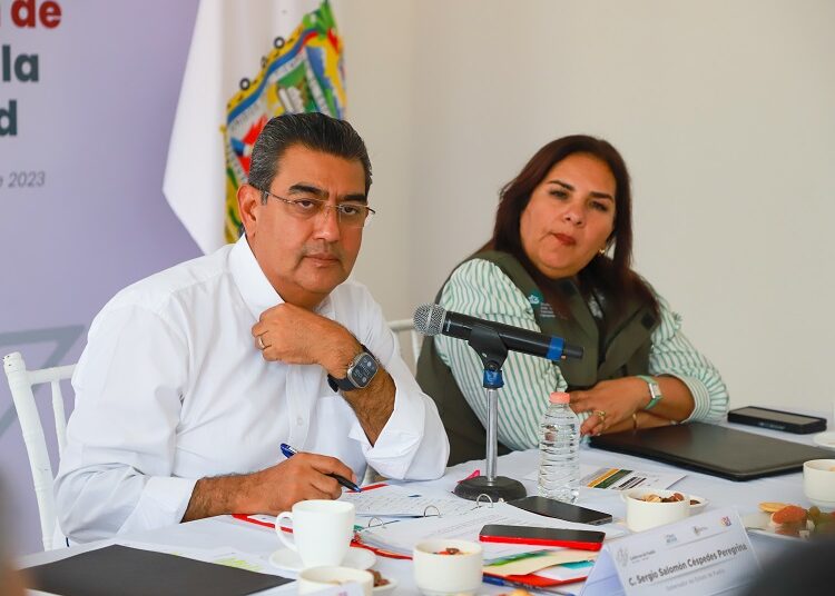 Entrega Sergio Salomón apoyos al campo en Nealtican