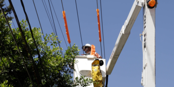 Reglamentos locales sobre paneles. Sí, pero… no así.