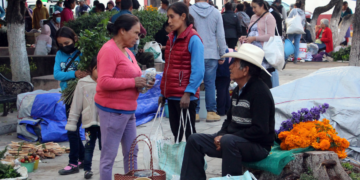 Cumplimos el compromiso de legislar y gestionar acciones para la Mixteca; la logramos transformar