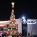 Lilia Cedillo enciende el árbol de Navidad en el CCU