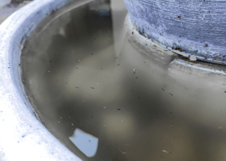 En Puebla, 105 municipios registran casos de dengue: Salud