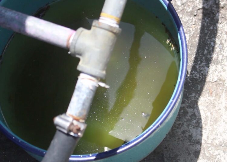 Reporta Salud 37 contagios por dengue en las últimas 24 horas