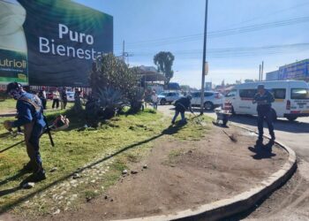 Mejoran imagen urbana en Central de Abasto