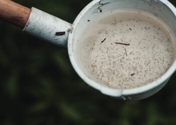 Casos de dengue se acercan a los 3 mil