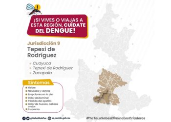 No se reportan casos de dengue en últimas 24 horas