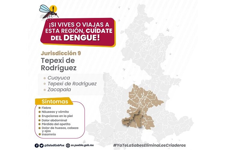 No se reportan casos de dengue en últimas 24 horas