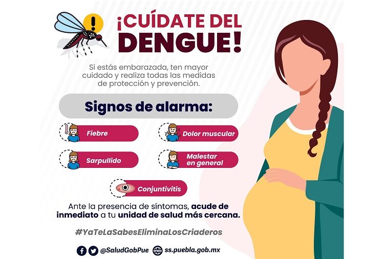 Reportan más de 30 casos de dengue en últimas 24 horas