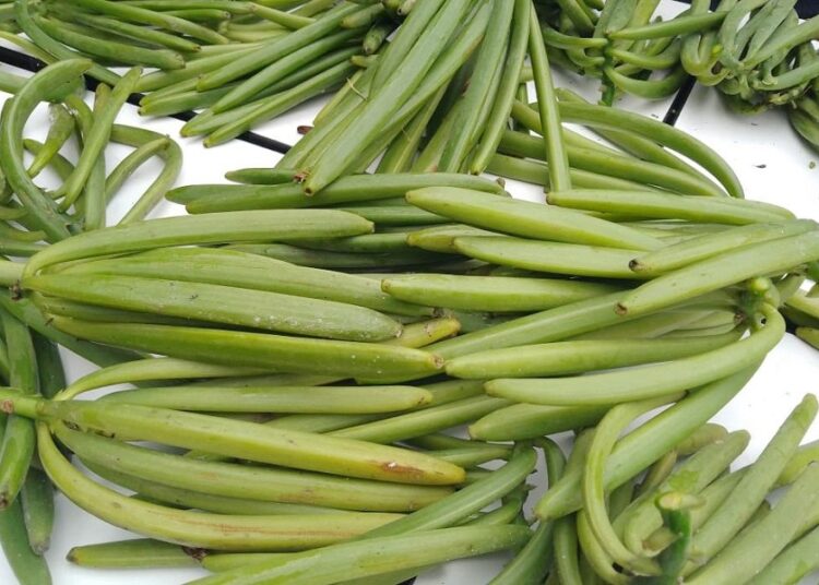 Capacitan a productores de vainilla