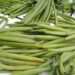 Capacitan a productores de vainilla