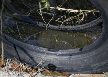 Reportan casos de dengue en 107 municipios de Puebla