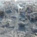 UE advierte de hambruna en Gaza