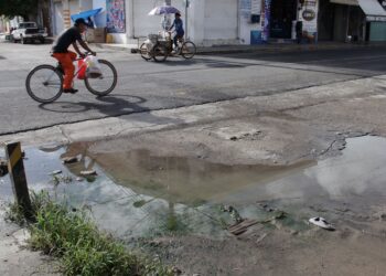5 municipios concentran 47.6% de casos de dengue