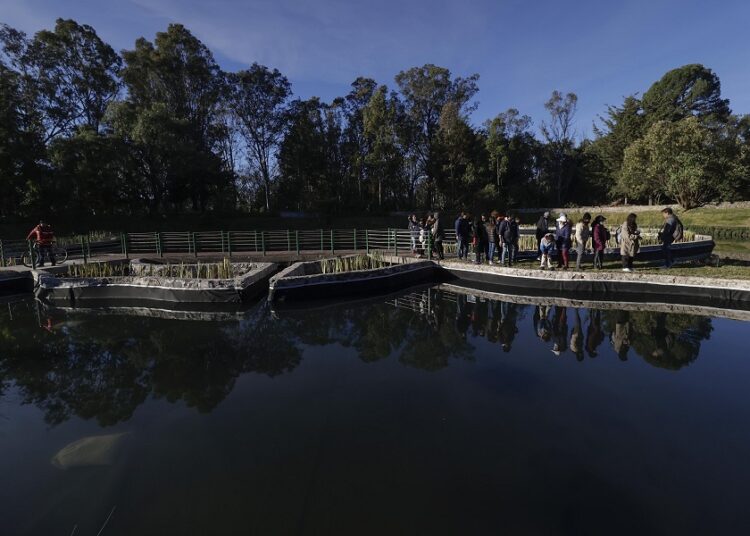 ERP entrega primera etapa de rehabilitación del Parque del Ajolote
