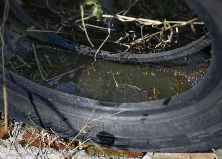 Casos de dengue, en 108 municipios de Puebla: Salud