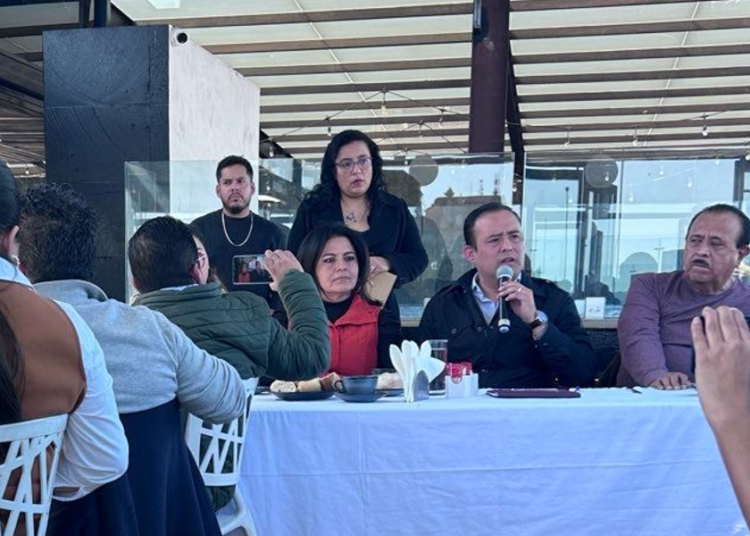 El 50% de diputados buscarán reelección y otros cargos
