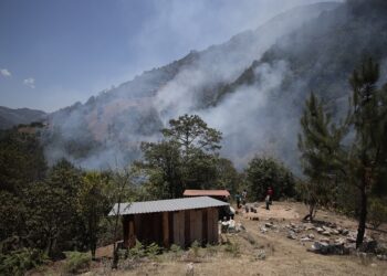 Incendio forestal más devastador del año ocurrió en Zacatlán