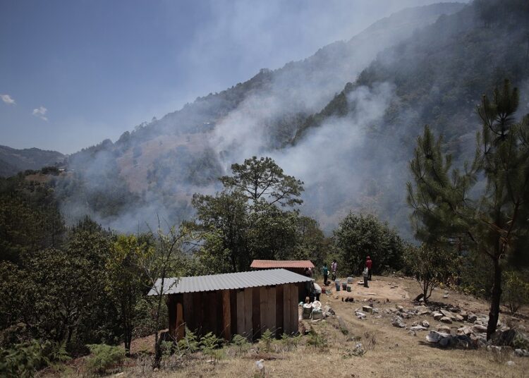 Incendio forestal más devastador del año ocurrió en Zacatlán