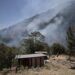 Incendio forestal más devastador del año ocurrió en Zacatlán
