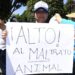 Exigen prohibir espectáculos de maltrato animal