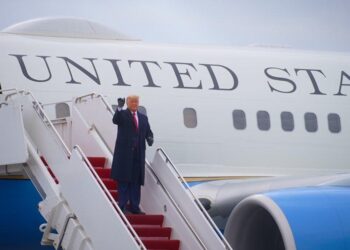 Maga
