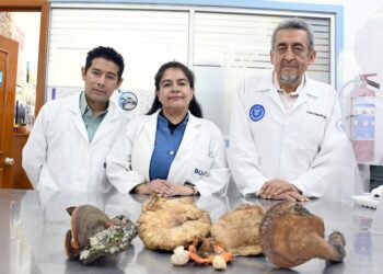CICA-ICUAP rescata saberes ancestrales sobre hongos en La Malinche