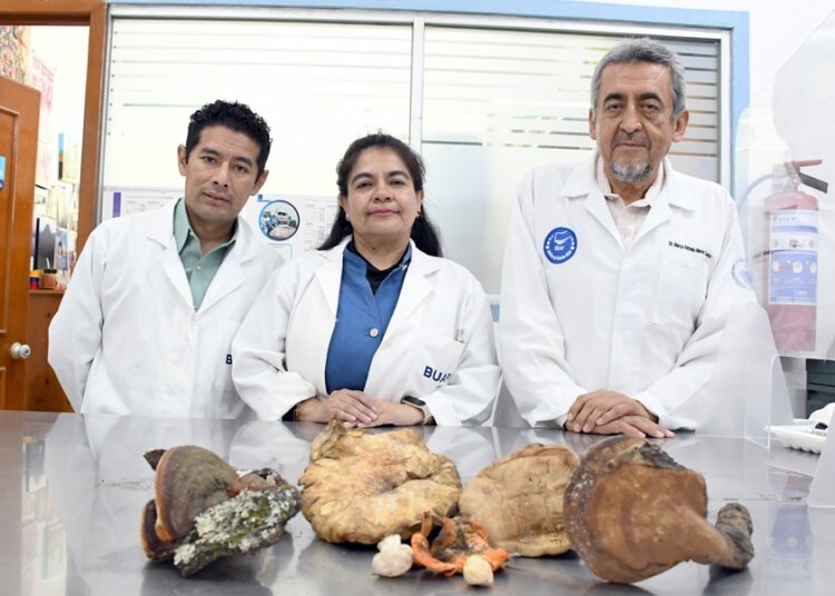 CICA-ICUAP rescata saberes ancestrales sobre hongos en La Malinche
