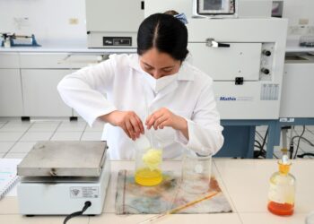 Crece demanda de estudiantes del Programa Delfín