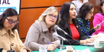 Piden en Cámara de Diputados regulación de trabajo doméstico