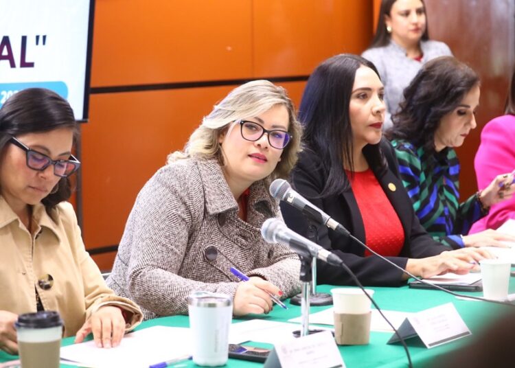Piden en Cámara de Diputados regulación de trabajo doméstico