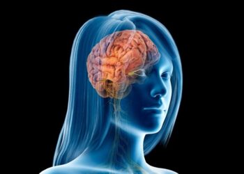 Cómo afecta la menstruación al cerebro