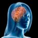 Cómo afecta la menstruación al cerebro