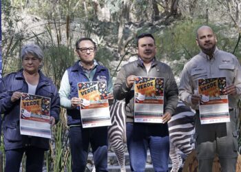 Intercambia tu árbol de Navidad por entradas a Africam Safari
