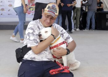 Así te ayuda tu mascota a tu bienestar emocional