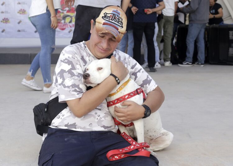 Así te ayuda tu mascota a tu bienestar emocional