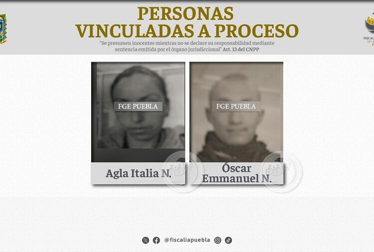 Vinculan a proceso a 2 personas por maltrato de 12 perros en un supuesto refugio
