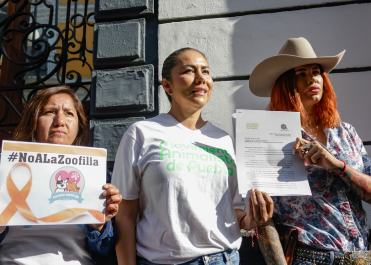 Próximamente, podría aprobarse la tipificación de zoofilia como delito grave