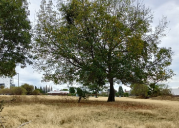 Colonos de Concepción Buenavista exigen a San Andrés Cholula intervenir en conflicto por área verde