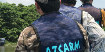 Sin apoyo federal para rescate de animales