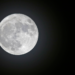 La luna en el pozo
