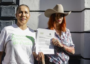 Podría aprobarse tipificación de zoofilia como delito grave en próximas semanas