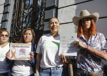 Exigen al Congreso tipificar zoofilia como delito grave