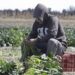 Se vislumbran expectativas positivas para sector agropecuario en 2024