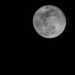 No te pierdas la Luna de Lobo, aquí te decimos cuándo y a qué hora