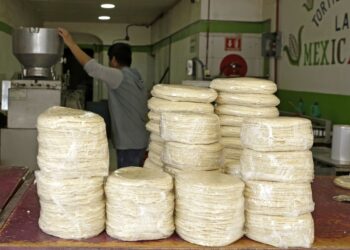 No subirá precio de la tortilla en 2024: AMLO
