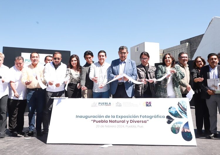 Gobierno entrega Paleta Vegetal para preservar medioambiente con reforestaciones de plantas endémicas