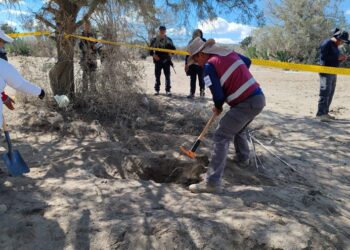 Hallan restos humanos en Palmar de Bravo