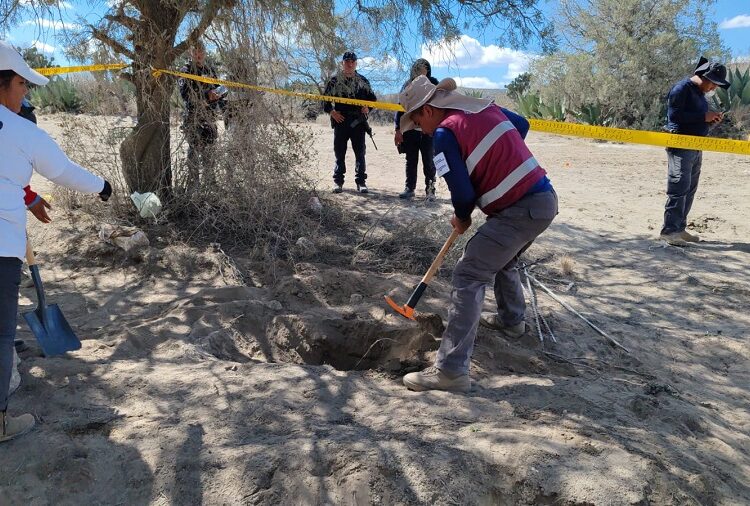 Hallan restos humanos en Palmar de Bravo
