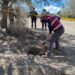 Hallan restos humanos en Palmar de Bravo