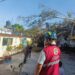 Rachas de viento han derribado 27 árboles en todo el estado